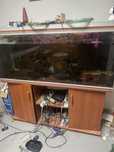Aquario Rena 500L + movel+ filtro fluval fx4