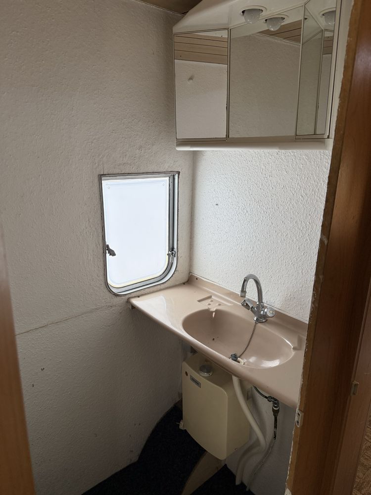 Wilk 8 metrów długi.