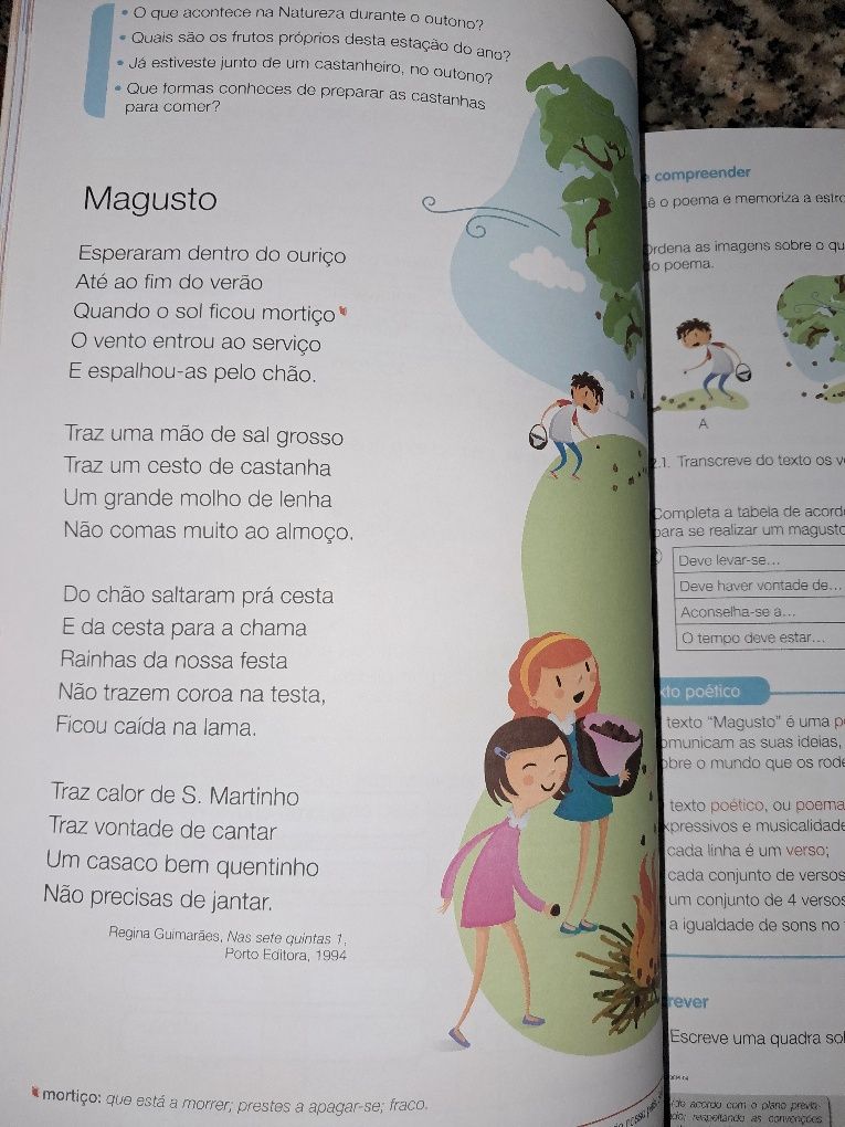 Manual Português 3° ano nunca usado