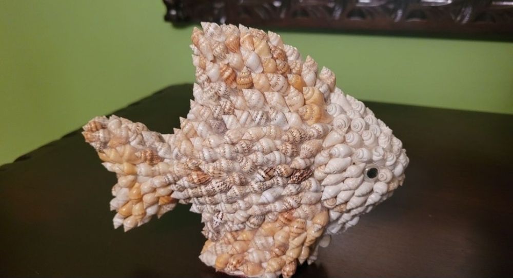 Muszle i wyroby z różnego rodzaju muszli