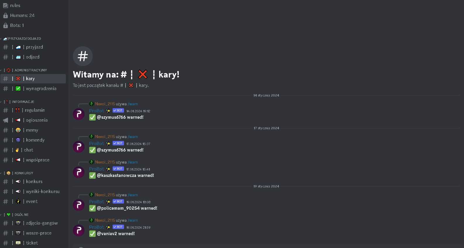 Tworzę bardzo dopracowane serwery discord z botami!