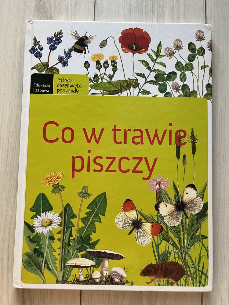 Co w trawie piszczy