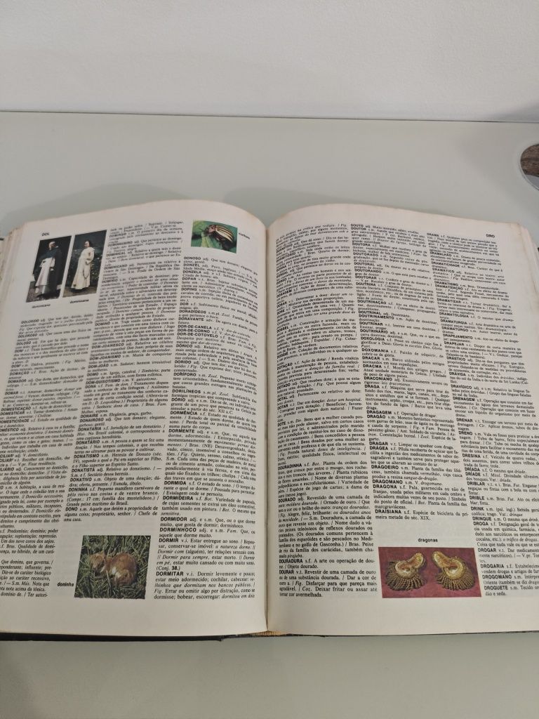 Dicionário Enciclopedico Koogan Larousse Seleções