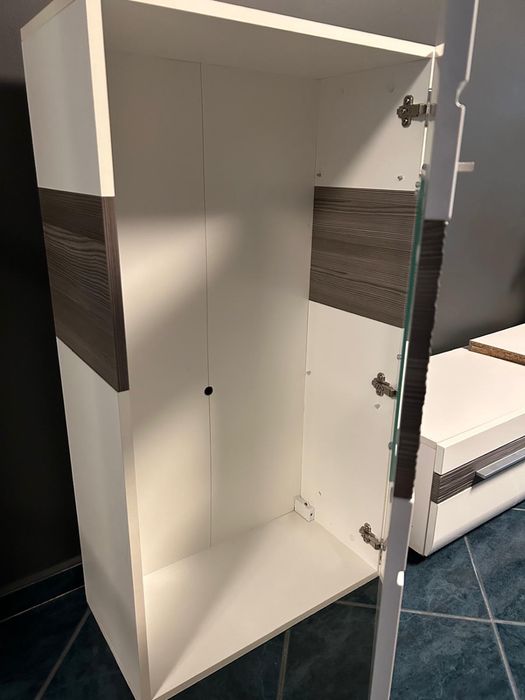 Mebloscianka biala w polysku