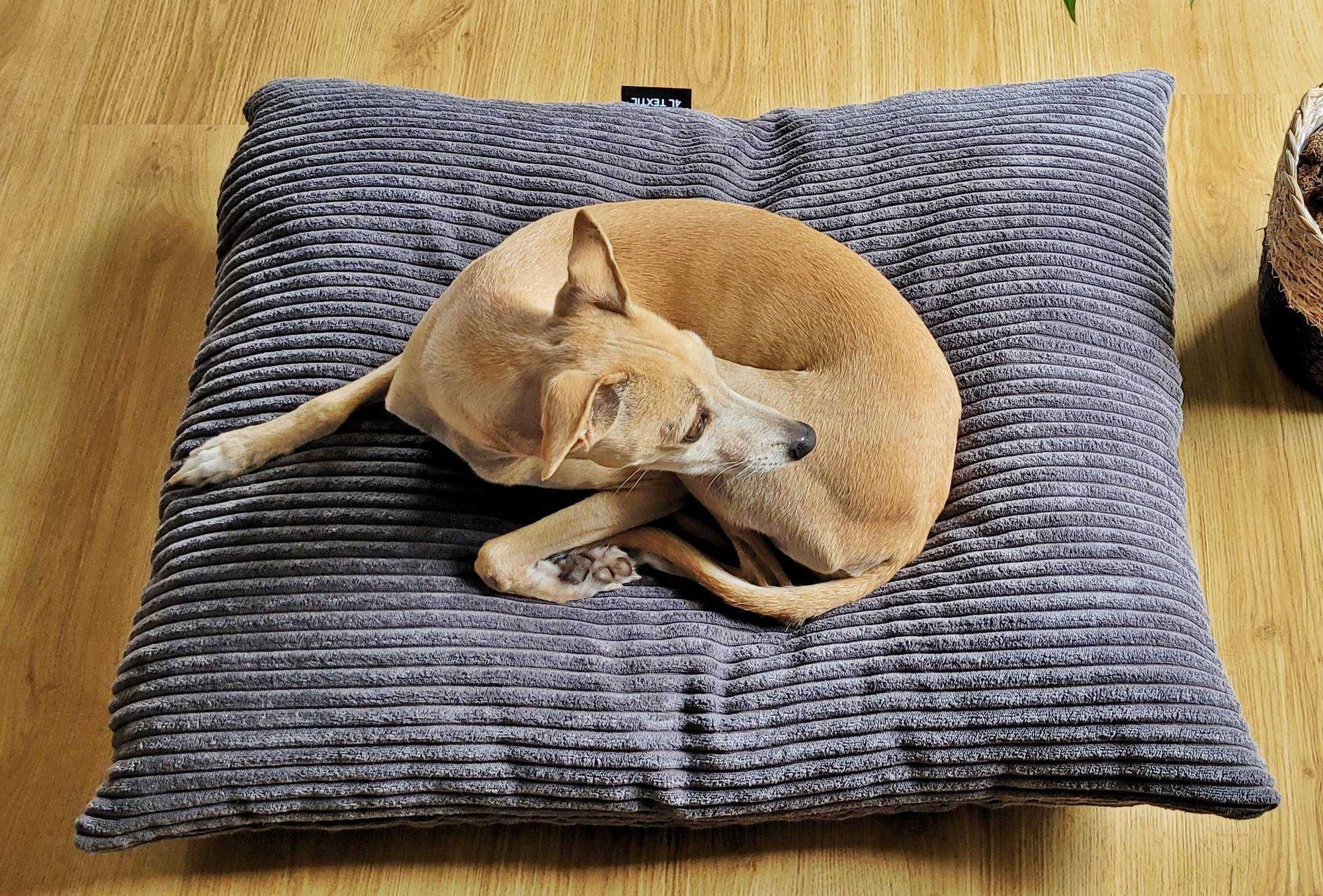 Legowisko poduszka dla psa MOLLY (60x50 cm, Szary)