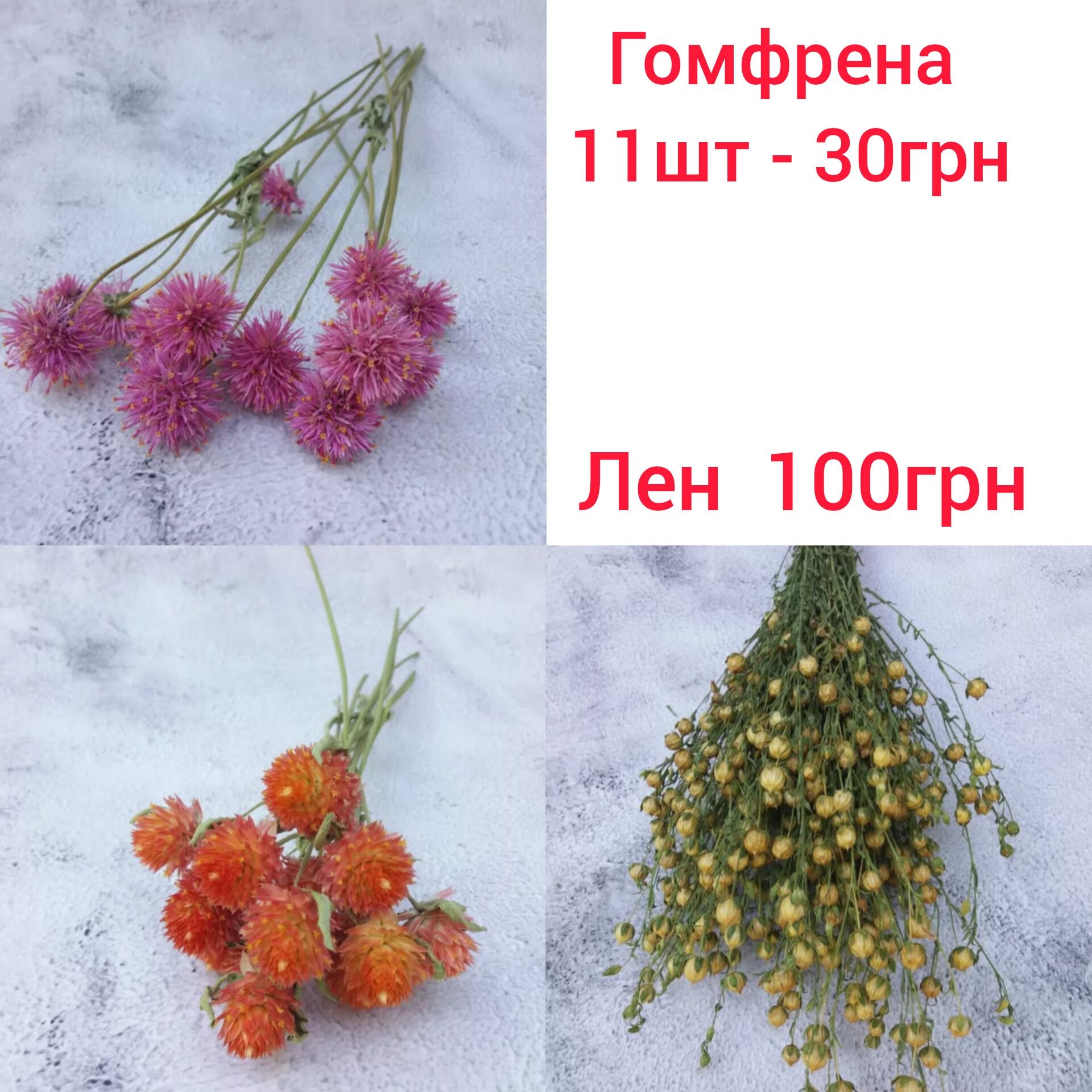 Зайцехвост/сухоцветы/лагурус/флористика/декор/интерьер