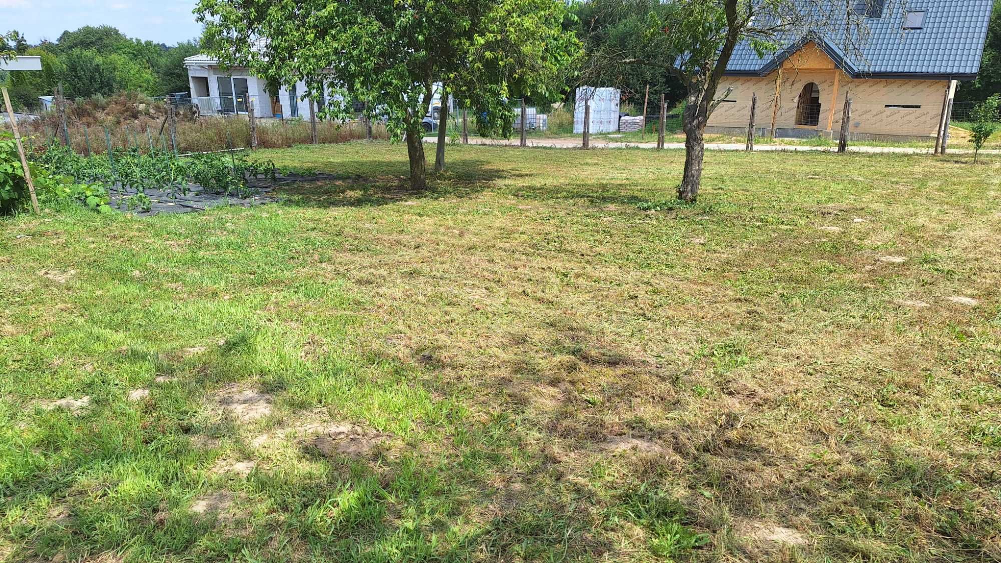 Wertykulacja, Aeracja, koszenie
