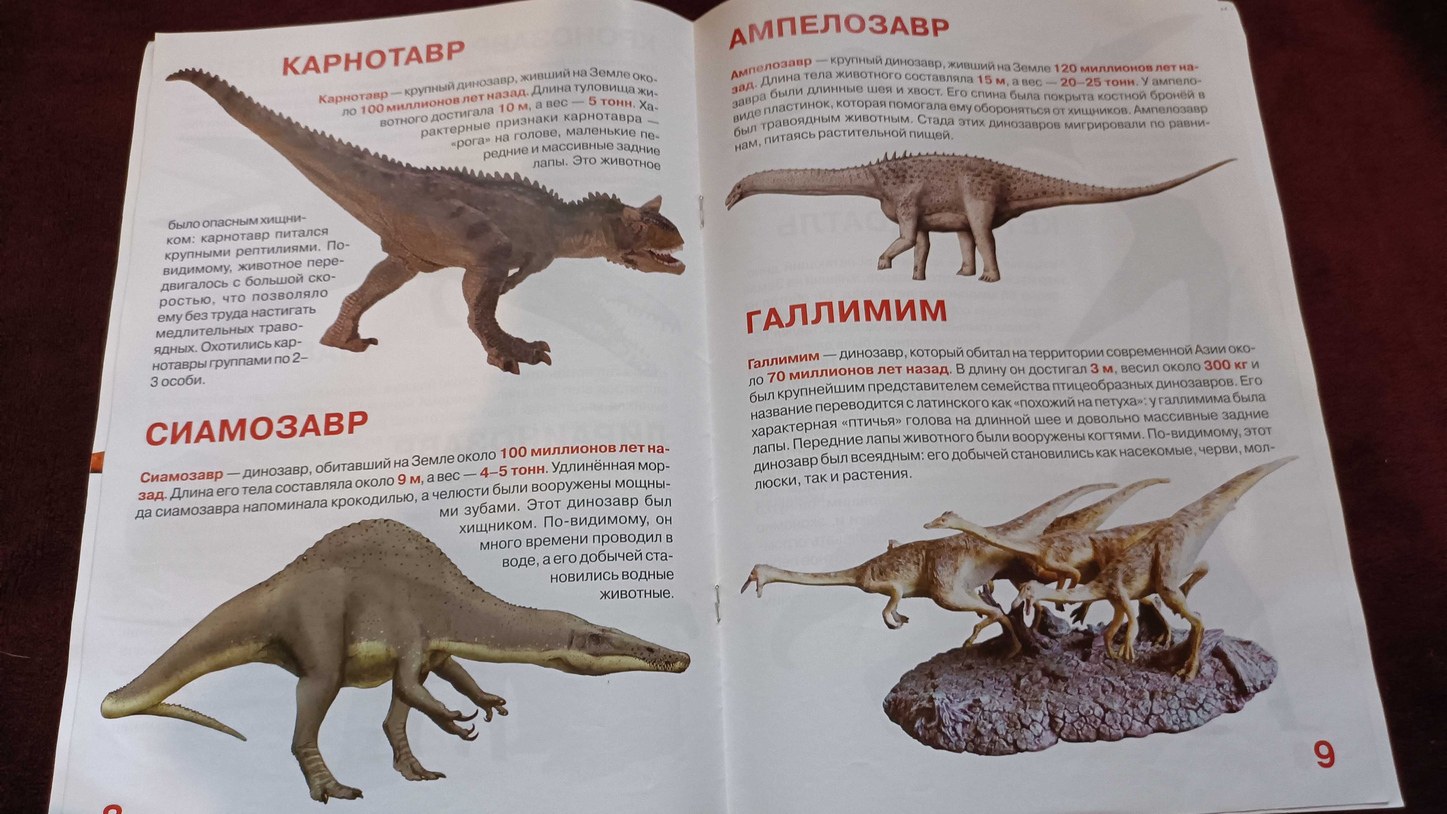 Детские энциклопедии динозавры, рыцары, породы собак, козаки