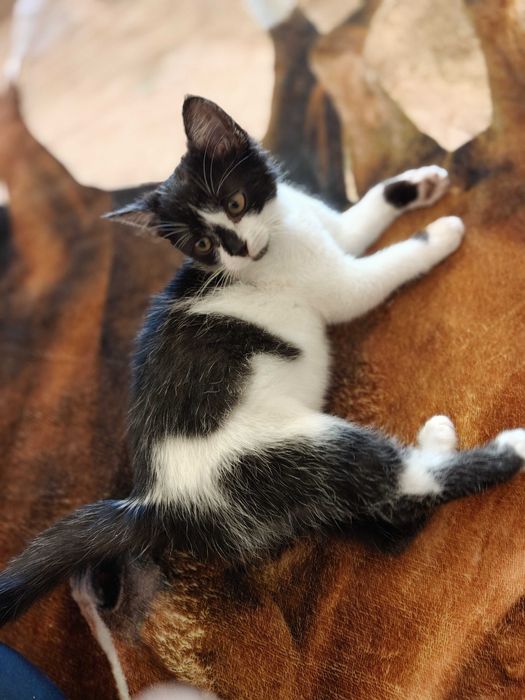 Czy Maja czeka na Ciebie?