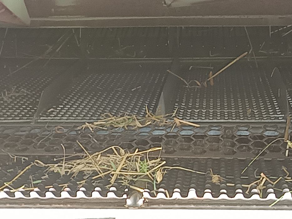 Kombajn zbożowy Claas Mercator 60