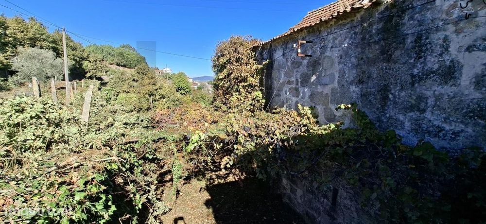 Quinta/Herdade em Tarouquela, Cinfães