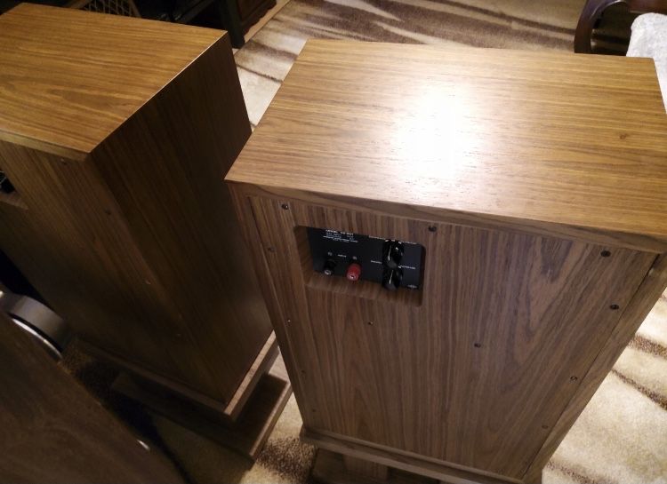 Kolumny Pioneer CS901