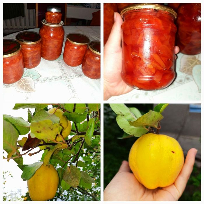 Продам варення з айви