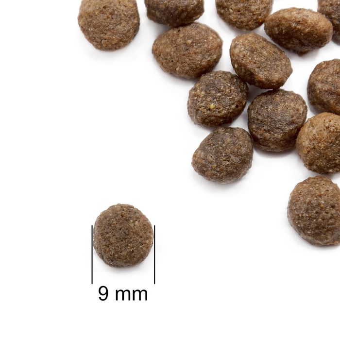 Їжа для котів та кошенят «4 протеїни» PRACTIK FRESH 3 кг