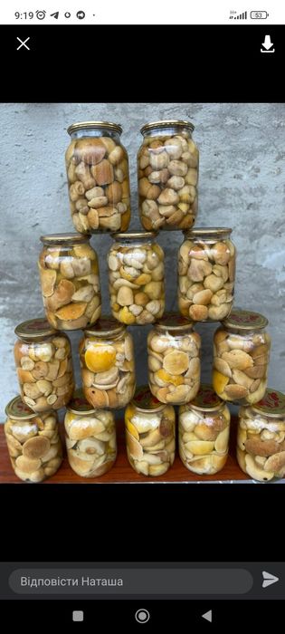 Продам різні смачні гриби