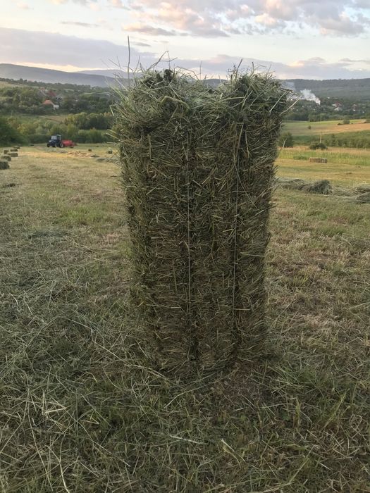 Продам цьогорічне сіно в тюках, є необмежена кількість