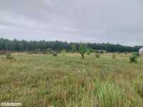 ⭐1km od J. Wierzbiczany⭐8km od Gniezna⭐Prostokątna⭐Pod lasem⭐Woda⭐Prąd