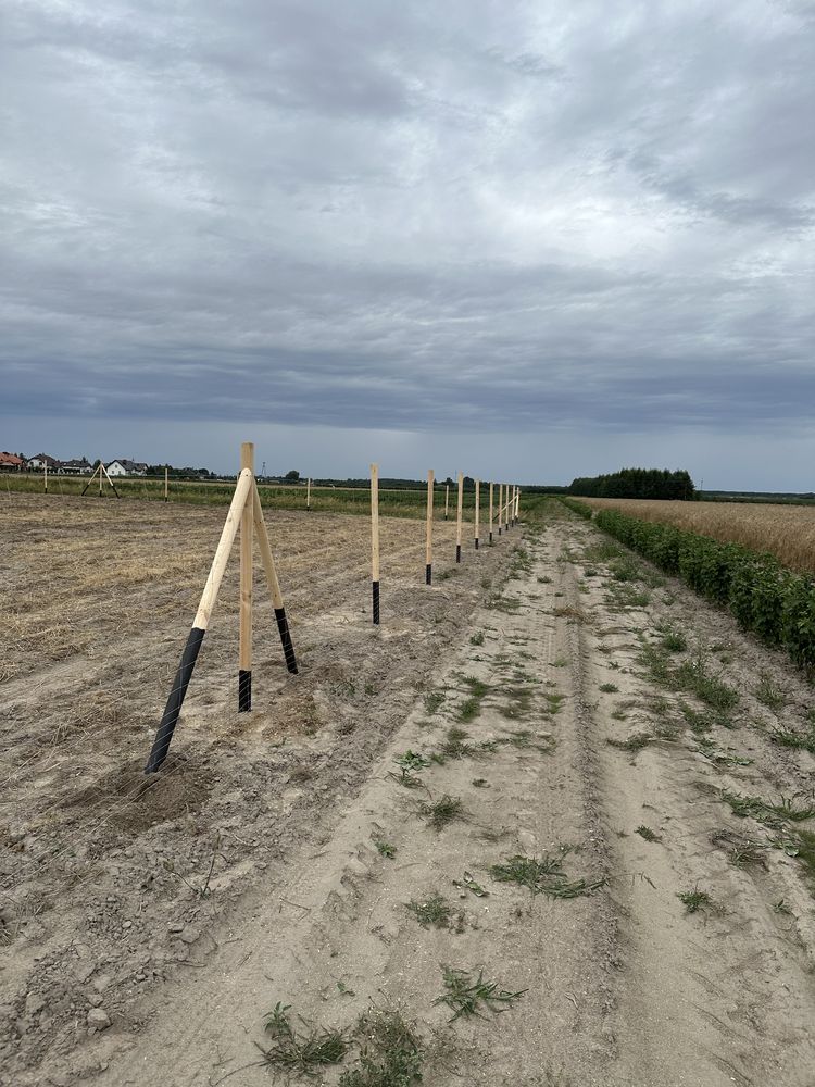 Ogrodzenie budowlane na słupkach toczonych /tymczasowe/leśne