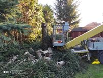 Wycinka drzew / rębak do gałęzi / czyszczenie działek / frezowanie pni