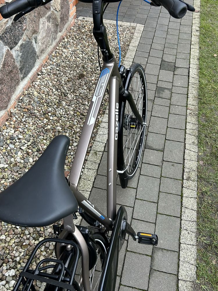 Rower Gazelle Chamonix C7