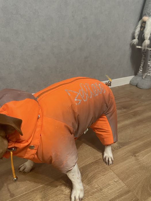 Зимній комбінезон Fifa для собачек