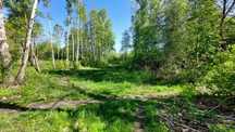 Sprzedam działkę budowlaną - 2000 m2