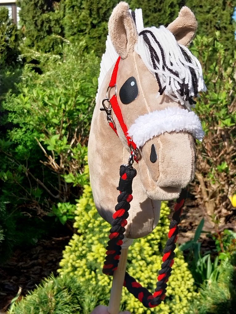 Konik hobby horse Fiord