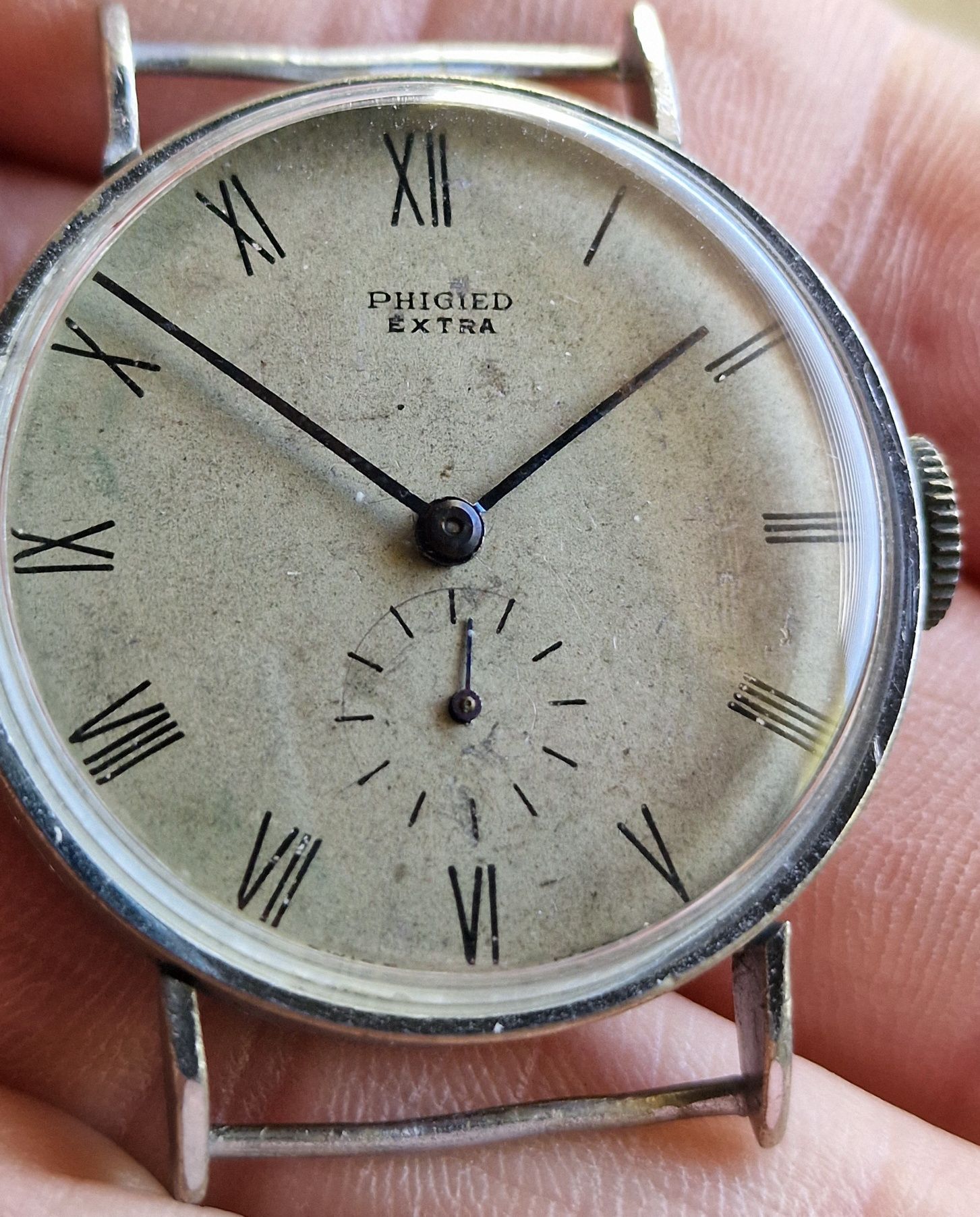 Phigied Extra Swiss