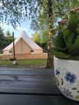 Nowość! BRZOZOWISKO, glamping, namiot, Wiele, Kaszuby Domki u Marty