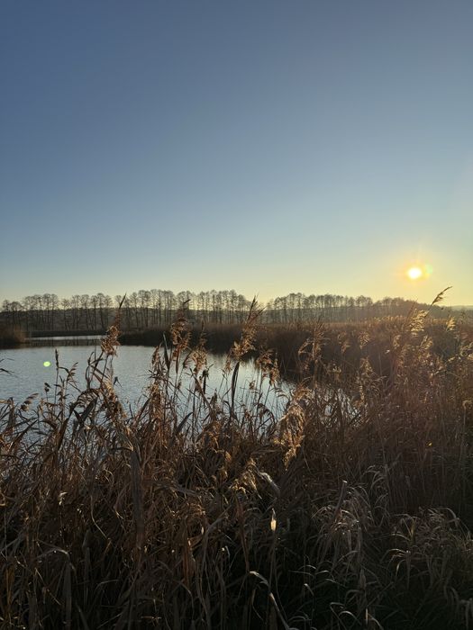 Stawy Hodowlane 50 ha - ogrodzone