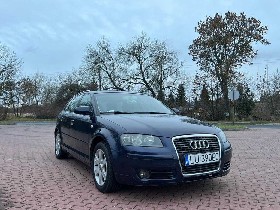 Audi a3 8p 1.9 TDI Sportback