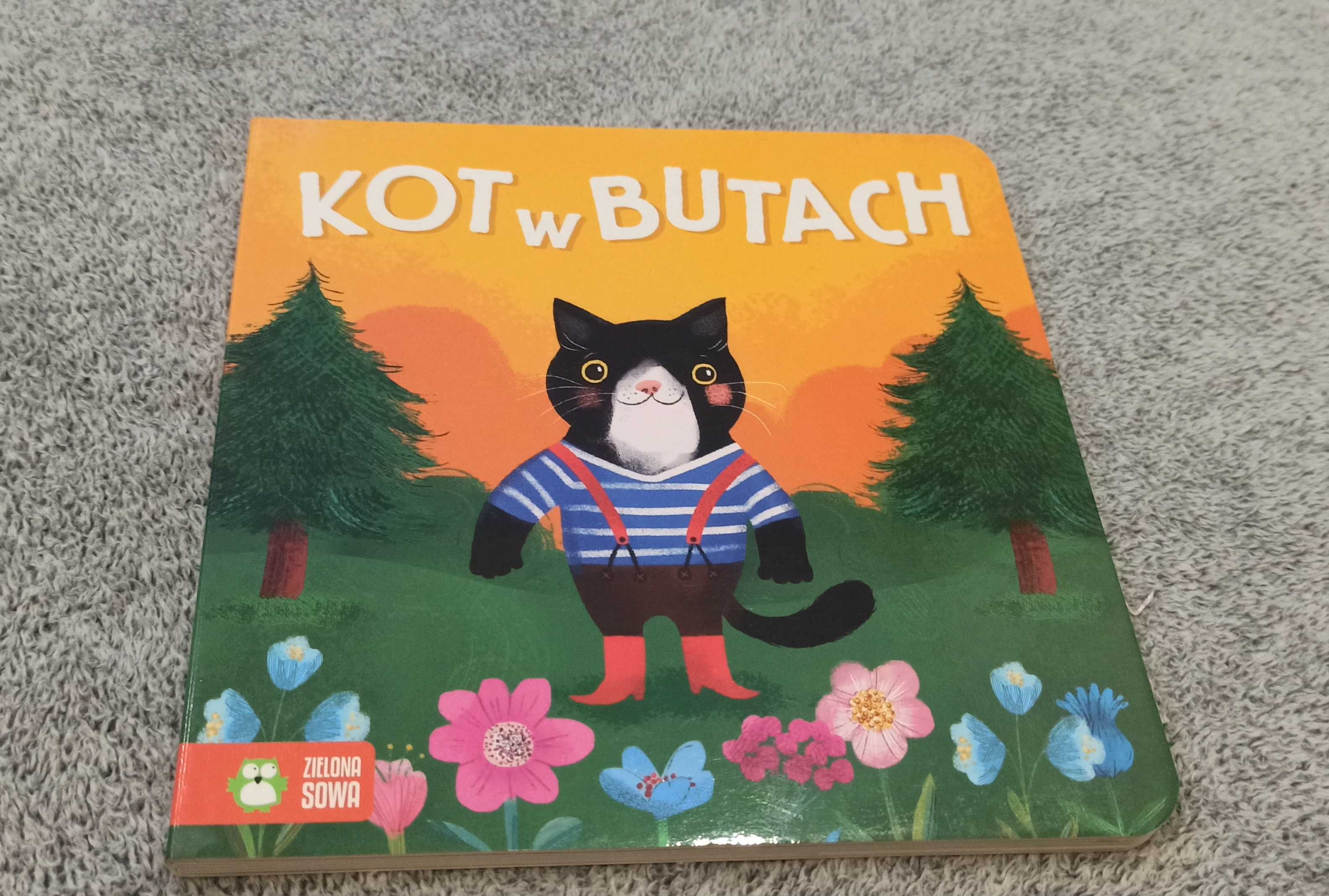 Książka książeczka dla dzieci Kot w butach