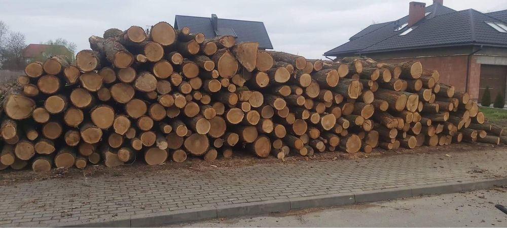 Drewno drzewo opałowe kominkowe