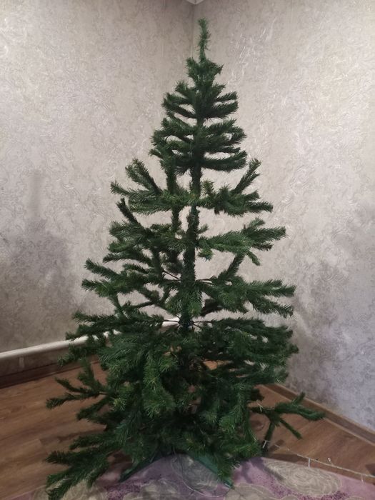 Продам ялинку 180см