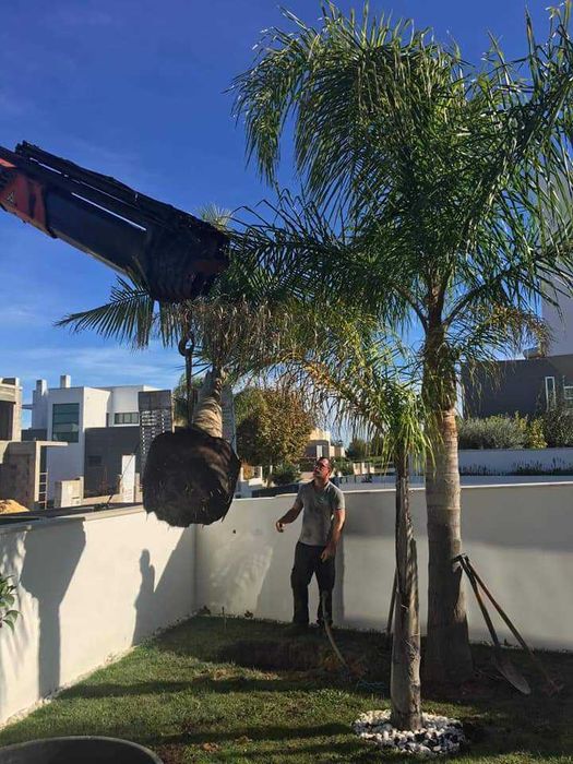 Construções e manutenção de jardins