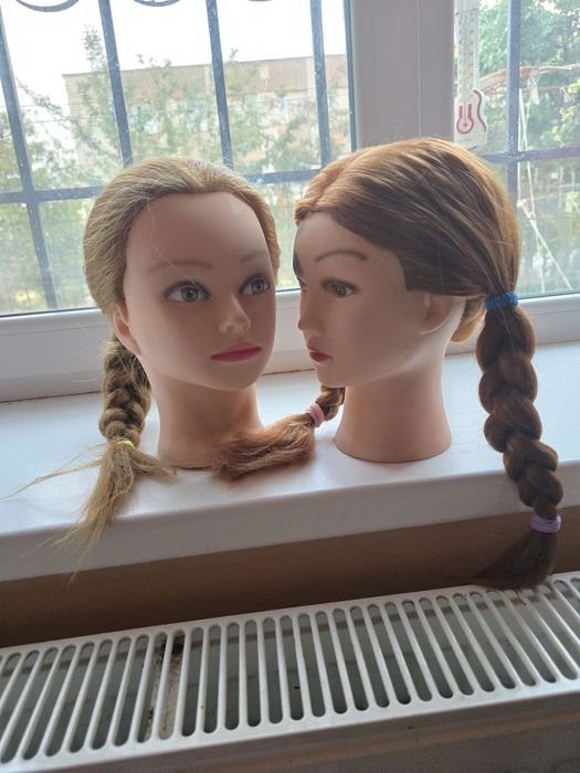 Продам две учебные головы цена договорная