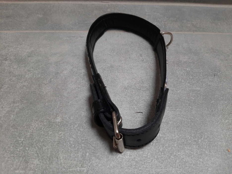 Obroża na średniego psa, długość 48.5 cm