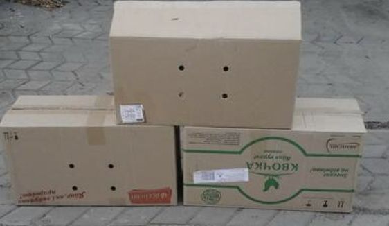 Ящики для яець