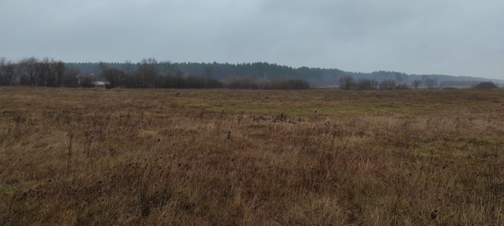 Земельна ділянка село Забороль
