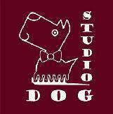 strzyżenie psów psi fryzjer ochojec katowice