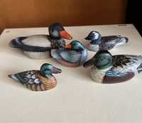 Conjunto de 5 Patos