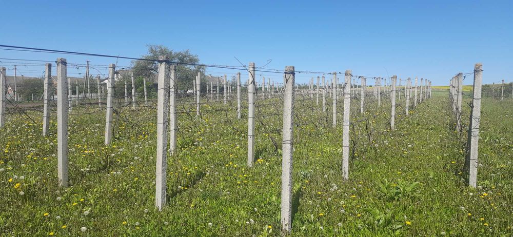 Продаж будинку, Тернопільська область, Монастириський район Швейків