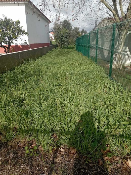 Terreno para construção