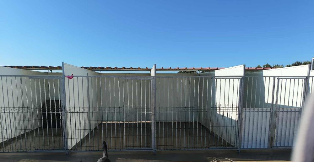 Vendo canil modular NEGOCIÁVEL