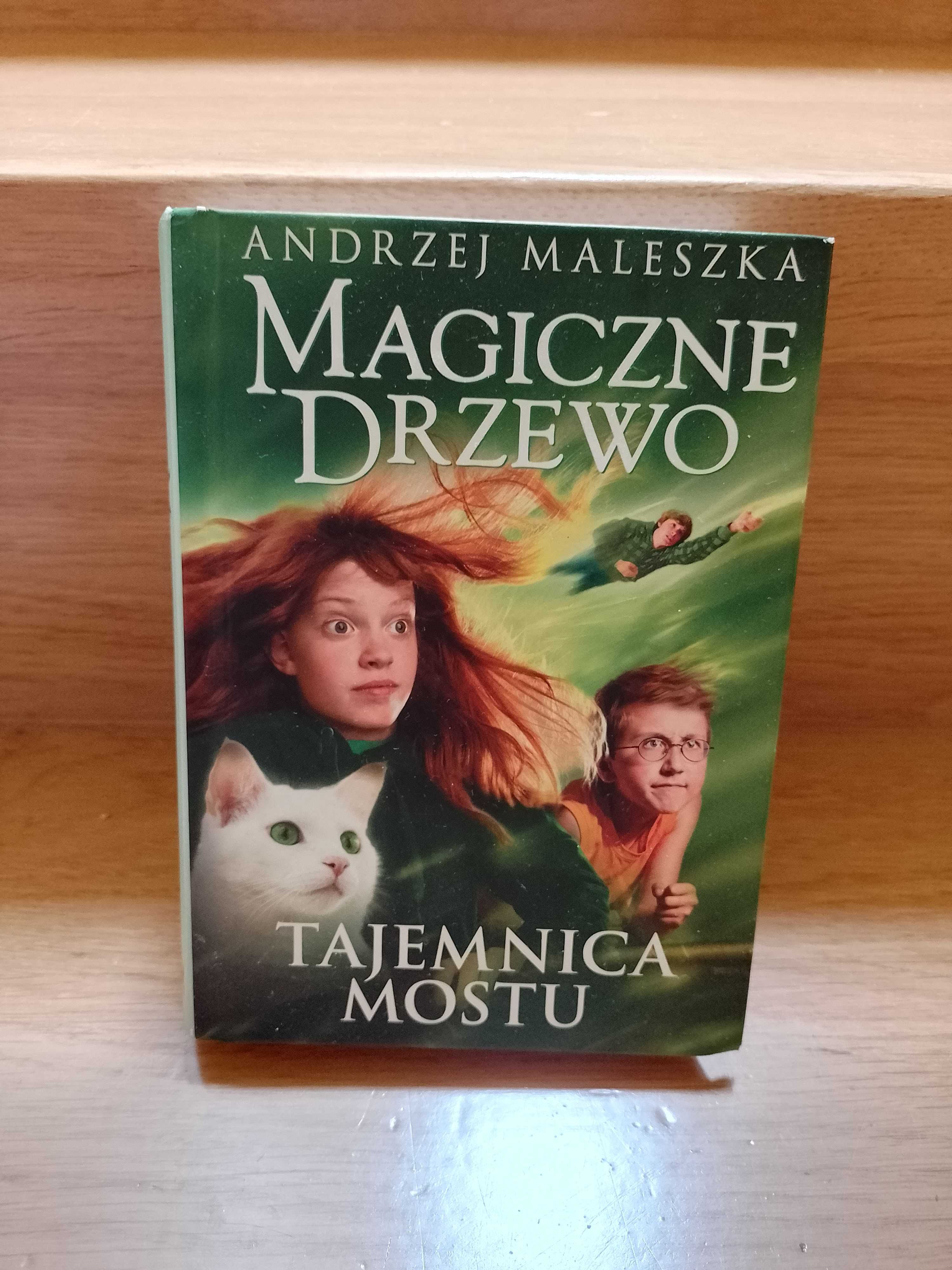 Magiczne Drzewo Tajemnica Mostu - stan bardzo dobry!