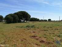 Terreno em Pegões de 19000,00 m2