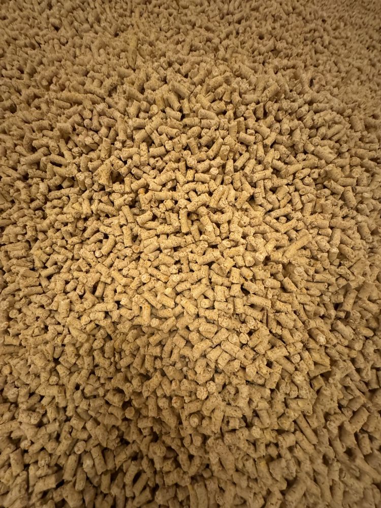 Kukurydza pellet 6mm zanęta karp lin amur płoć  leszcz jezioro leszcz