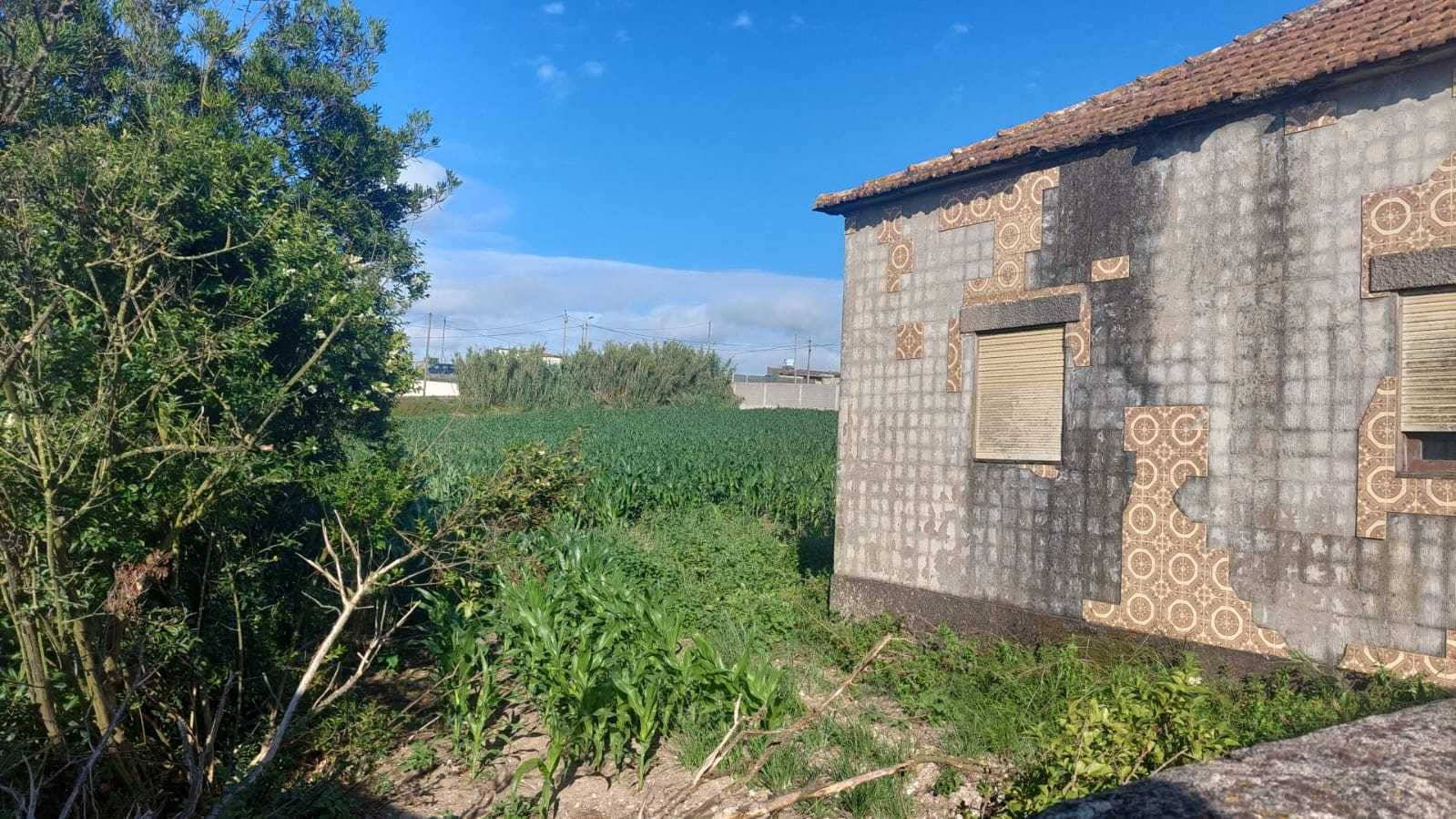 Terreno para construção junto ao mar com 2 casas para restauro