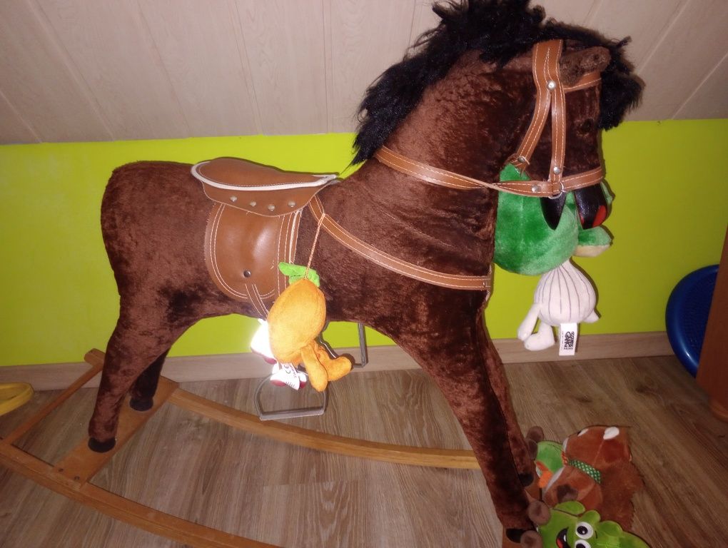 Koń na biegunach