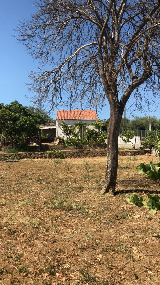 Vendo Terreno urbano e agricola com casa e anexo com agua e luz